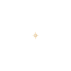 North Star Diamond Earrings