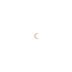 Half Moon Diamond Earrings