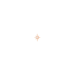 North Star Diamond Earrings